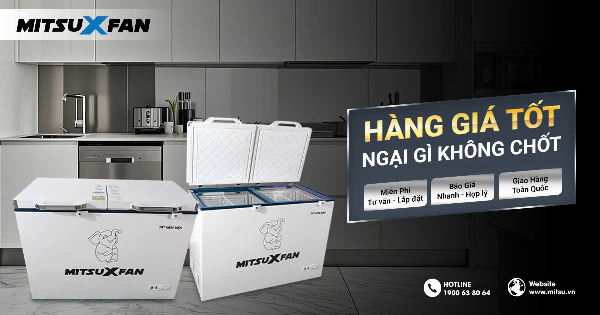 TỦ ĐÔNG LÒNG INOX HAY TỦ ĐÔNG THÔNG THƯỜNG?